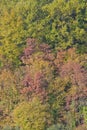 Italian autumn landscape - Full frame shot concept background Royalty Free Stock Photo