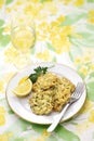 Italian baby sardine fritters(Frittelle di bianchetti) Royalty Free Stock Photo