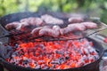 Italian BBQ Royalty Free Stock Photo