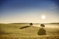 Idyllic view, foggy Tuscan fields in light of the rising sun Royalty Free Stock Photo