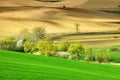 Idyllic view, Italian beautiful landscape, green and brown fields of Tuscany