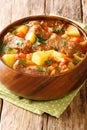 Italian beef stew with potatoes, carrots and celery close-up in a bowl. vertical Royalty Free Stock Photo