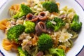 Italian broccoli and anchovies pasta dish. Royalty Free Stock Photo