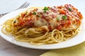 Italian Bruschetta Chicken Spaghetti Royalty Free Stock Photo