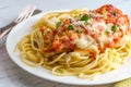 Italian Bruschetta Chicken Spaghetti Royalty Free Stock Photo