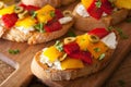 Italian bruschetta with roasted peppers goat cheese olives