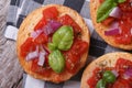 Italian bruschetta with tomato, onion and basil Royalty Free Stock Photo