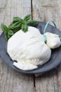 Italian burrata cheese Royalty Free Stock Photo