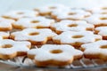Italian butter cookies Royalty Free Stock Photo