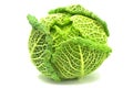 Italian cabbage on white Royalty Free Stock Photo