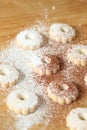 Italian canestrelli biscuits sprinkled with powdered sugar and cocoa Royalty Free Stock Photo