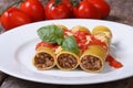 Italian cannelloni pasta with meat, tomato sauce, cheese Royalty Free Stock Photo