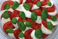 Italian Caprese Salad with Mozzarella Cheese, Tomato and Basil Royalty Free Stock Photo