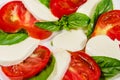 Italian caprese salad with tomatoes, mozzarella cheese and basil. Close-up Royalty Free Stock Photo