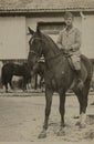 Italian Cavalry: A Proud Soldier on Horseback in the 1940s