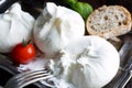 Italian cheese burrata, tomatoe and basil Royalty Free Stock Photo