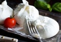 Italian cheese burrata