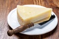 Italian cheese collection, matured pecorino romano hard cheese made from sheep melk