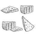 Italian cheese Gorgonzola set. Hand drawn sketch style drawings. Traditional Italian blue cheese collection. Vector illustrations Royalty Free Stock Photo