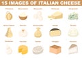 Italian cheese set. Gourmet dairy products. Appetizer or snack for tasty