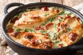 Italian chicken breast with sun-dried tomatoes and spinach in cheese sauce close-up in a pan. horizontal Royalty Free Stock Photo