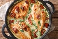 Italian chicken breast with sun-dried tomatoes and spinach in cheese sauce close-up in a pan. Horizontal top view Royalty Free Stock Photo