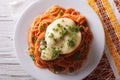 Italian chicken Parmigiana and pasta close up. horizontal top vi Royalty Free Stock Photo