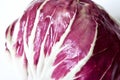 Italian chicory `Radicchio` Royalty Free Stock Photo