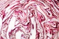 Italian chicory `Radicchio` close up Royalty Free Stock Photo
