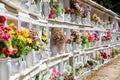 Italian Christian cemetery grave and floral tributes. Tombs burial mounds in Riomaggiore in Italy. Memorial gravestone Royalty Free Stock Photo