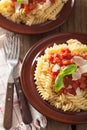 Italian classic pasta fusilli with tomato sauce and basil Royalty Free Stock Photo