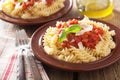 Italian classic pasta fusilli with tomato sauce and basil Royalty Free Stock Photo