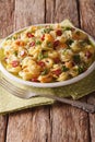 Italian colored tortellini with parmesan and sliced sausages close-up. vertical