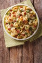 Italian colored tortellini with parmesan and sliced sausages close-up. Vertical top view