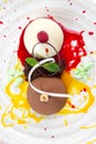 Italian Colorful ice cream scoops semifreddo with chocolate and raspberry