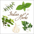 Italian Herbs for Regional Cuisine