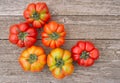 Italian Costoluto tomatoes on garden bench - traditional variety