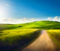 Italian Countryside Panorama of summer green field with dirt road and cloudy blue sky. Beautiful Italian summer rural landscape Royalty Free Stock Photo