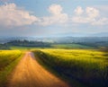 Italian Countryside Panorama of summer green field with dirt road and cloudy blue sky. Beautiful Italian summer rural landscape Royalty Free Stock Photo