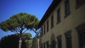 Italian Court. Villa. Manor house. Pinia. Coniferous trees. Italian pine tree. Summer. Classical Italian style. Yellow