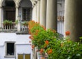Italian courtyard with flowers Royalty Free Stock Photo