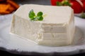 Italian cowÃ¢â¬â¢s-milk cheese - Stracchino Royalty Free Stock Photo