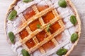 Italian crostata with apricot jam closeup horizontal top view