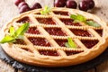 Italian crostata shortbread cake with cherries and mint closeup.
