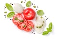 Italian cuisine concept - caprese salad ingredients isolated on white Royalty Free Stock Photo