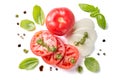 Italian cuisine concept - caprese salad ingredients isolated on white Royalty Free Stock Photo