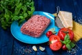 Products for the preparation of Pasta Bolognese. Minced meat, tomatoes, spaghetti, Basil, Parmesan cheese, spices Royalty Free Stock Photo