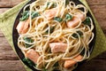 Italian cuisine: spaghetti with salmon, cream cheese and spinach Royalty Free Stock Photo