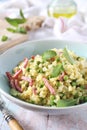 Italian Cuisine. Stortini pasta risotto with green peas and bacon Royalty Free Stock Photo