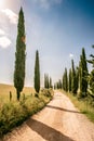 Italian cypress trees alley and a white road to farmhouse in rural landscape. Italian countryside of Tuscany, Italy, Europe Royalty Free Stock Photo